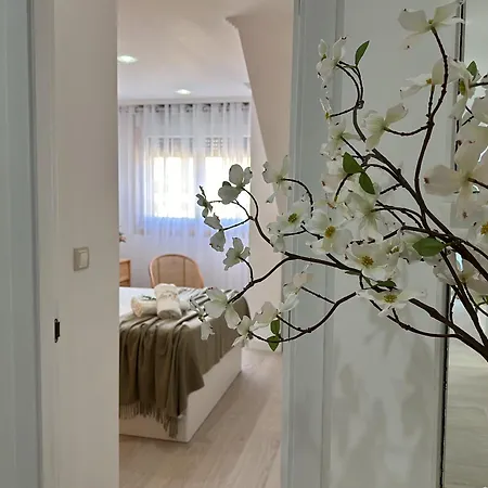 Atico Luz Y Mar Apartment